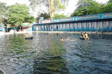 Sensasi Berenang Bareng...