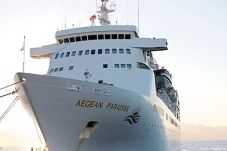 Cruise Halal ala Turki