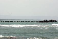 Pelabuhan Bojongsalawe...