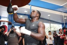 Andre Berto Tekun Pelajari...
