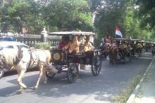 Ratusan Veteran Yogya...