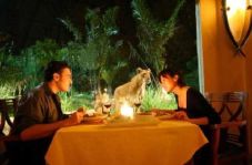 Restoran Tsavo Lion,...