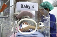 Bayi Lahir Sudah Capai...
