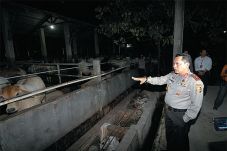 Kartel Diduga Sengaja...