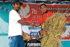 Jalan Sehat Agustusan...