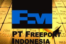 Kontribusi Freeport...