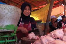 Harga Tinggi, Omzet...