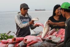 Konsumsi Ikan di Indonesia...
