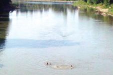 Sungai Lematang Tercemar...