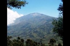 Kebakaran Landa Gunung...