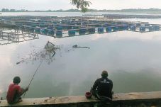 Kemarau, Penambak Khawatir...