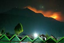 Kebakaran Area Gunung...