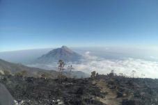 330 Personel Gabungan...
