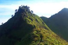 Jalur Pendakian Merbabu...