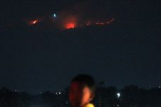 Hutan di Gunung Lawu...