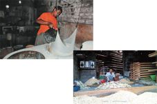 Harga Tahu dan Tempe...