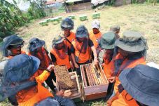 Warga Hutan Dilatih...