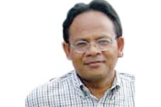 Akar Rumput