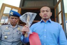 Kisah Palu Maut Pencabut...