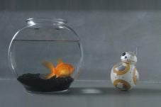 Ini Robot Perekam Berkarakter...