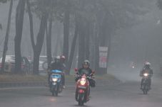 Sumatera Darurat Asap