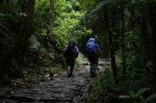 Puncak Gunung Slamet...