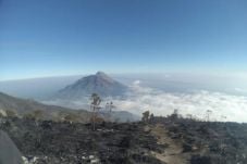 Jalur Pendakian Gunung...