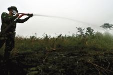 Garap Lahan Terbakar...