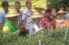 Petani Keluhkan Anjloknya...