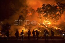 Kebakaran Lahan di California,...