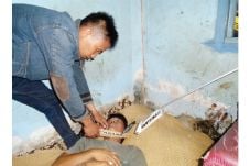 Pembunuh Mahasiswa PGRI...