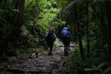 Terjebak Saat Kebakaran...