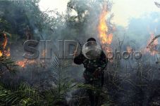 Biang Kerok Pembakaran...