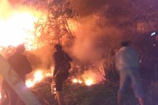 Hutan Gunung Lokon Terbakar