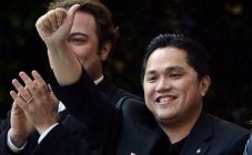 Taipan Indonesia Tak...