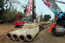 Ahok: Ada Pohon Mah...