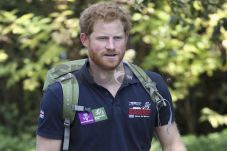 Pangeran Harry Pemilik...