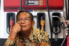 Menko Darmin Segera...