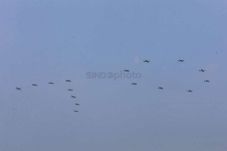 Begini Aksi Sukhoi TNI...