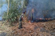 Hutan Gunung Geulis...