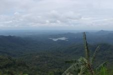 Hutan di Perbukitan...