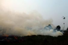 Dihadang Kabut Asap,...