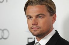 Leonardo DiCaprio Garap...