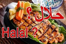 Dari 500 yang Bersertifikasi,...