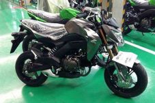 Kawasaki Z125 Meluncur...