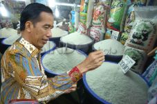 Impor Beras, Dewan Tani...