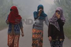 Kementerian Kesehatan...