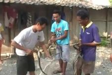Satu Keluarga di Wonogiri...
