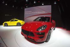 Macan Terkuat Muncul...