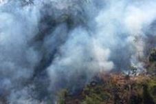 Cegah Kebakaran Hutan,...